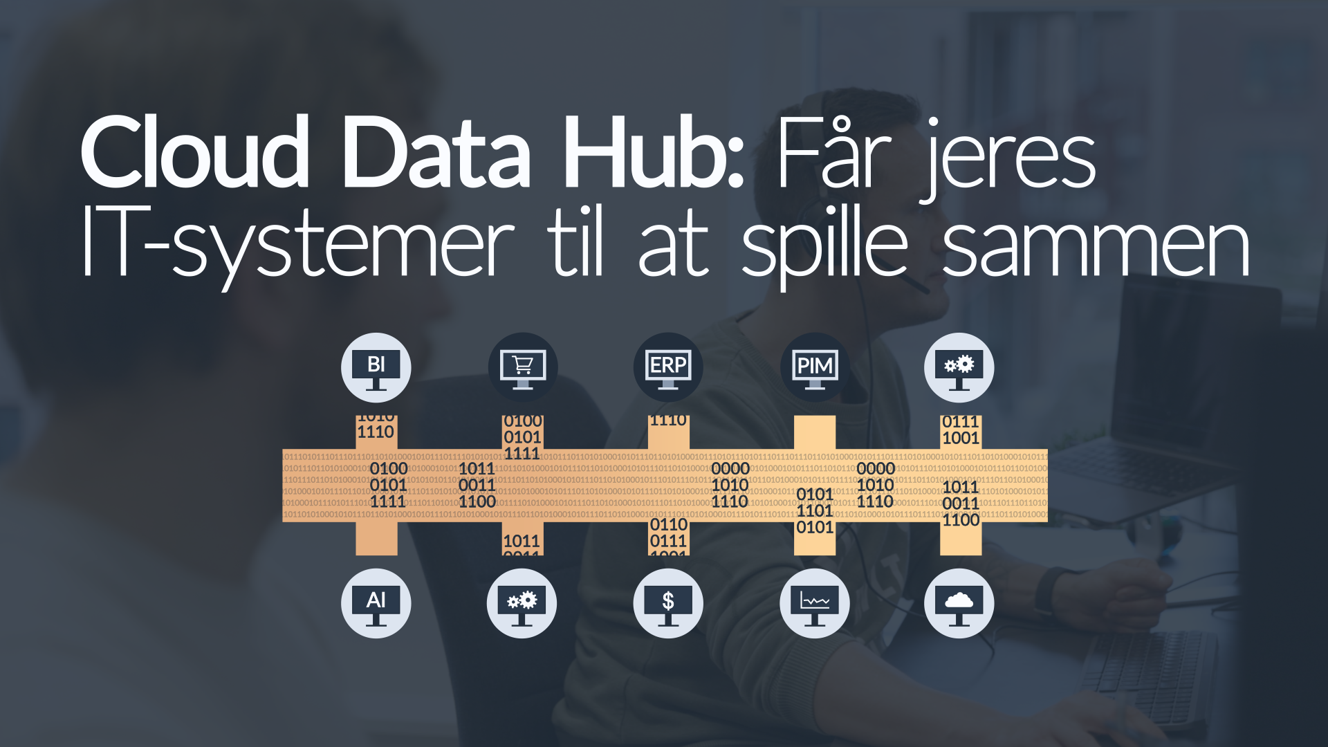 Cloud data hub