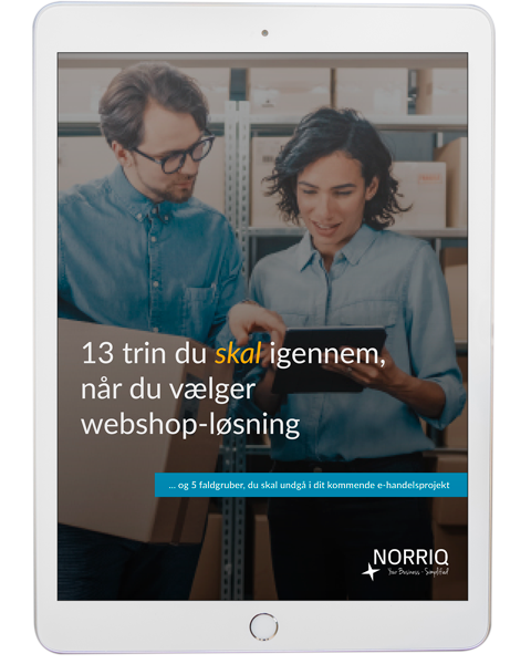 Gratis eBook: 13 trin du skal igennem, når du vælger webshop-løsning