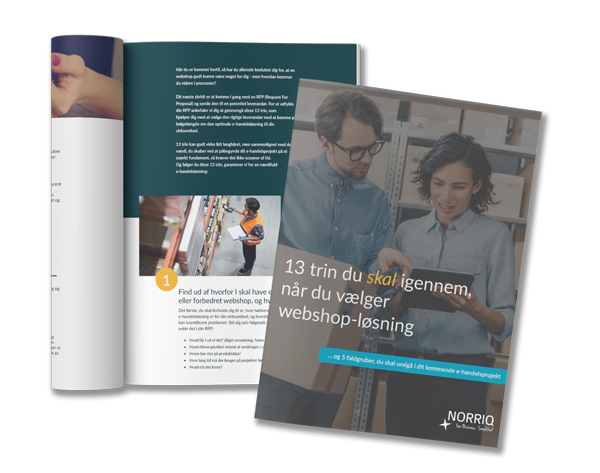 En guide til at opnå den optimale B2B webshop