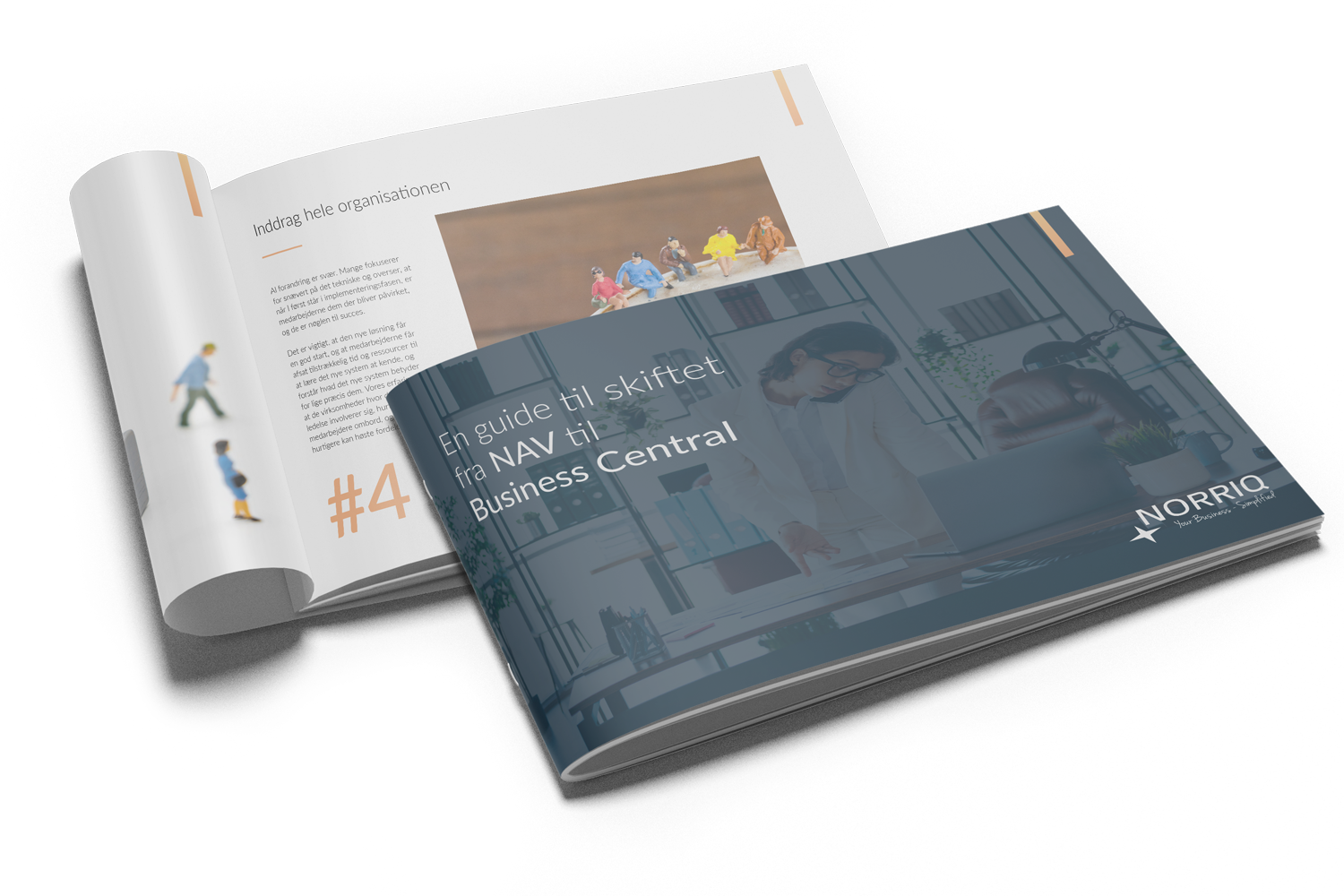 En guide til skiftet fra NAV til Business Central