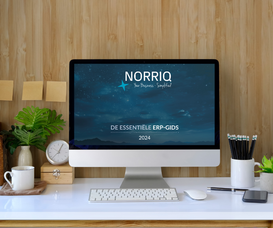 ERP-gids preview