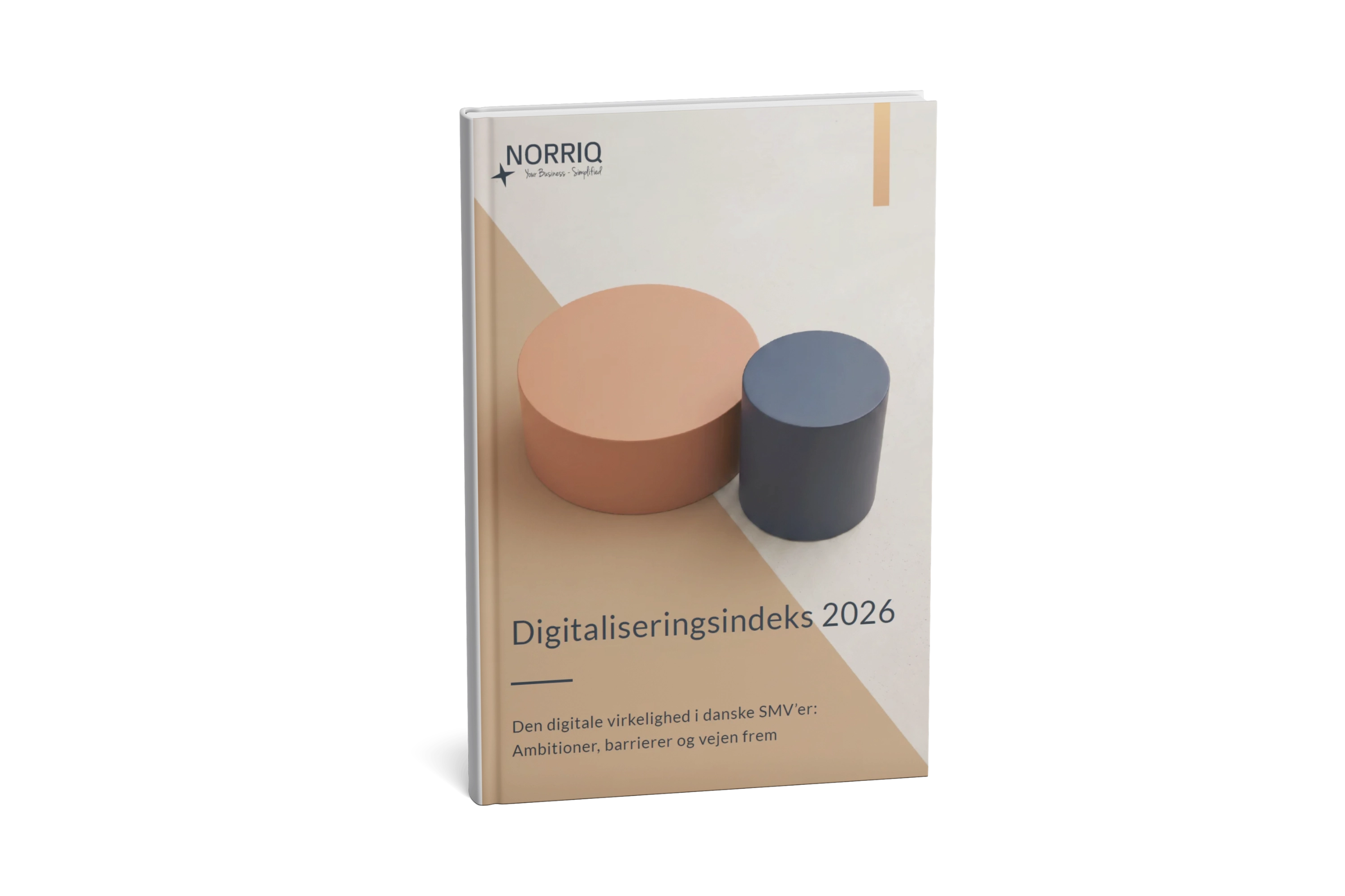 Digitaliseringsindeks 2026