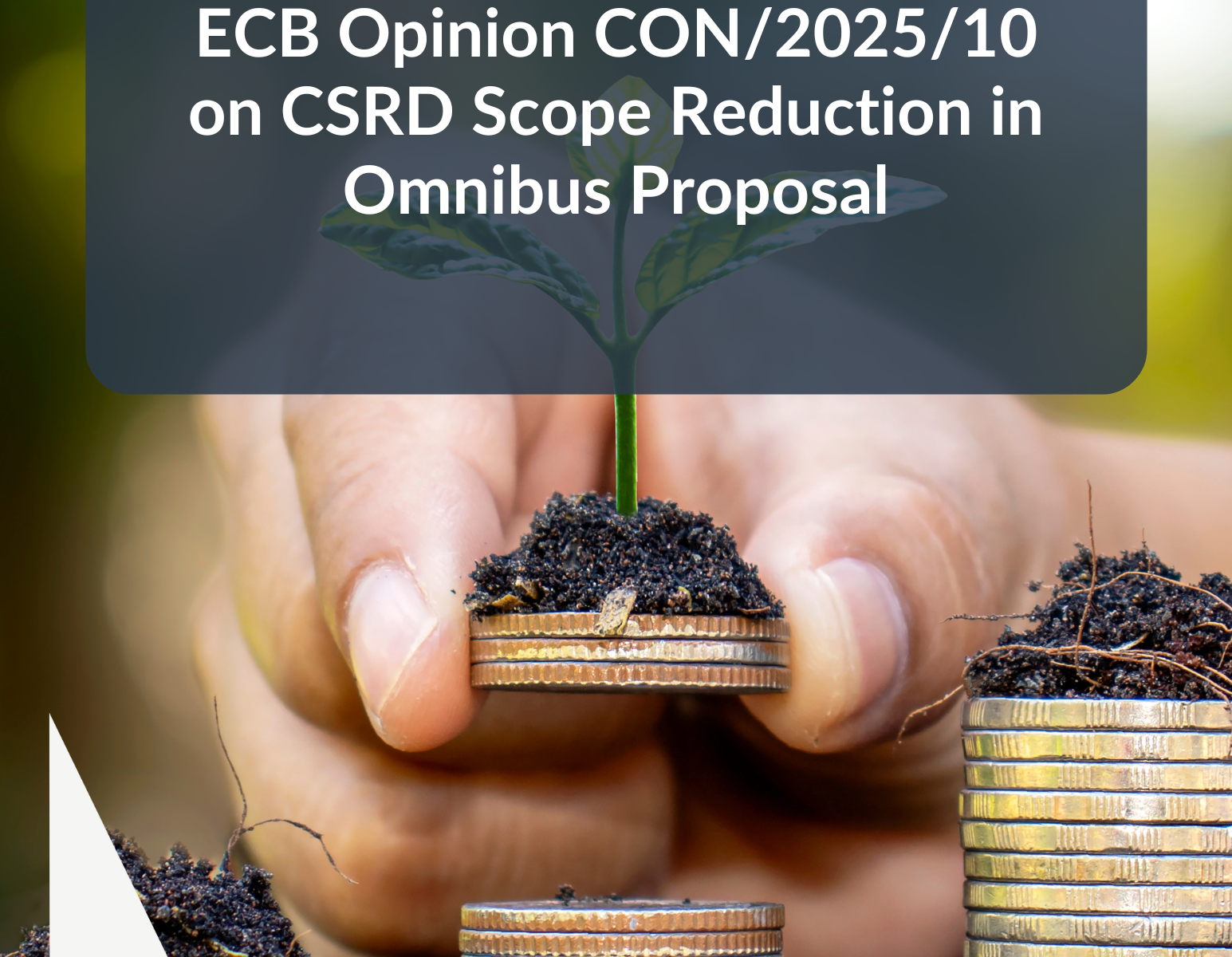 Overlay of "ECB Opinion on CSRD Scope" with NORRIQ branding and coins.