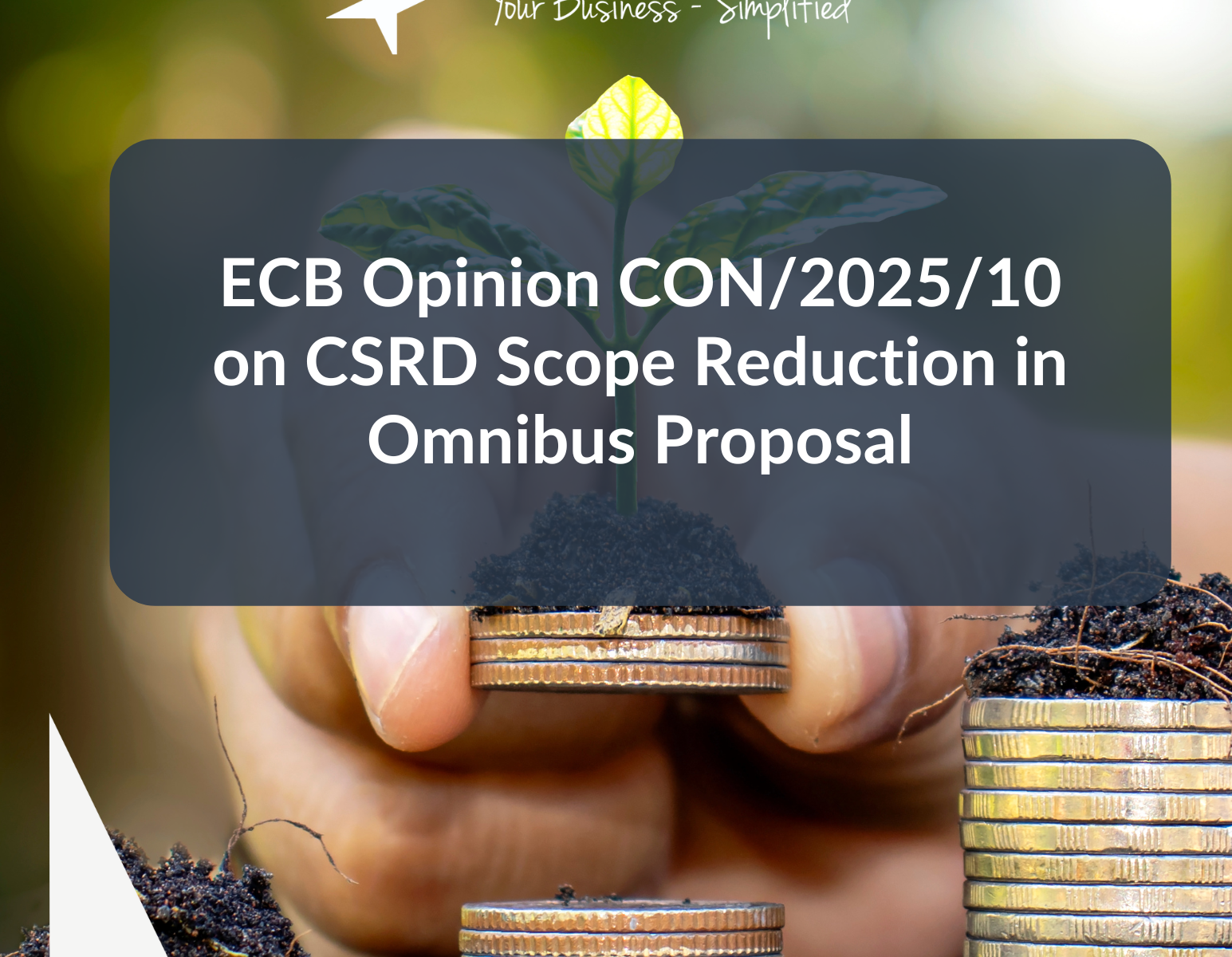 ECB Opinion on CSRD Scope Reduction in Omnibus Proposal