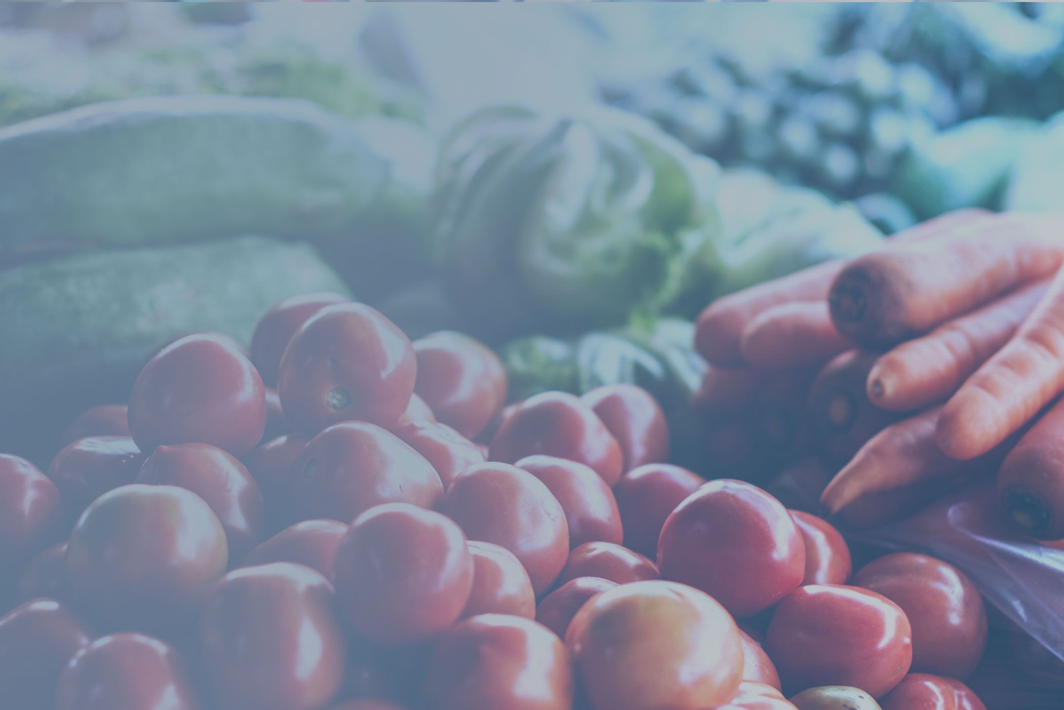 Gratis Demo AI-drevet indkøbsanalyse i fødevareindustrien