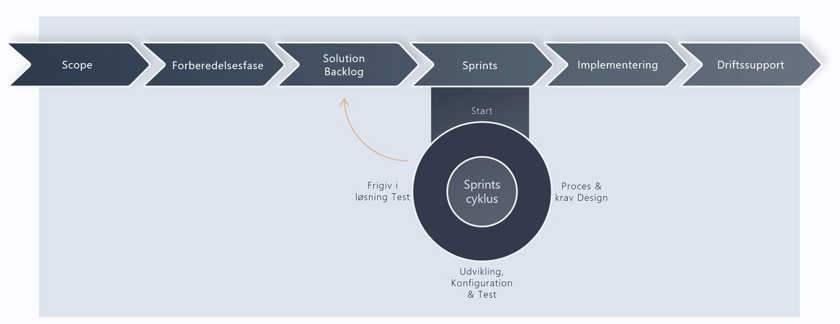NORRIQ’s Projektmodel
