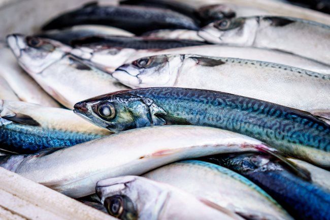 Nordic Seafood case