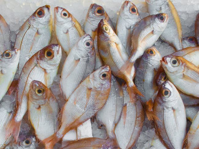 Nordic Seafood case