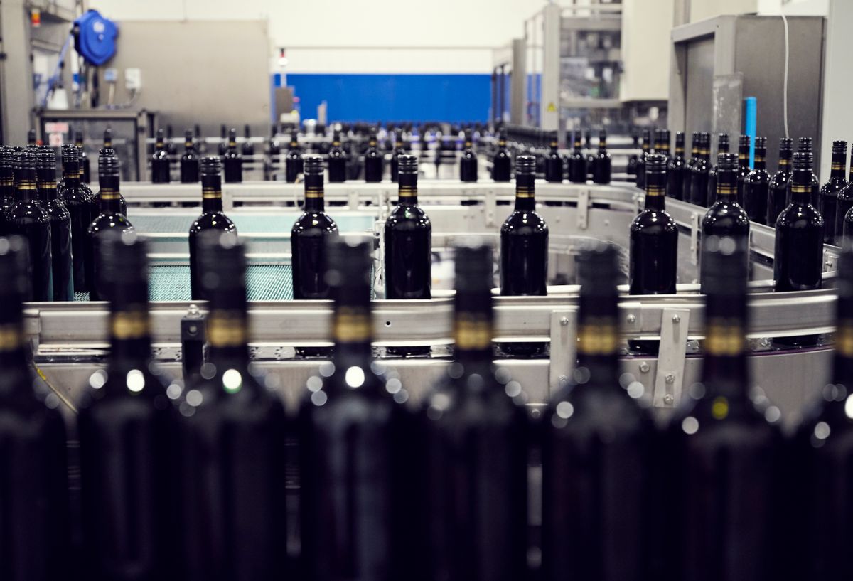 Taster Wine overvejer fremtiden i skyen